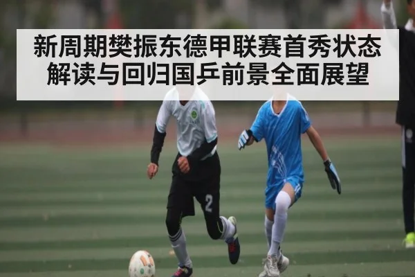 新周期樊振东德甲联赛首秀状态解读与回归国乒前景全面展望