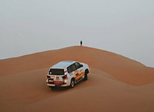 开云平台中国-农业农村部：对部分地方高标准农田建设中存在的问题，开展专项整治